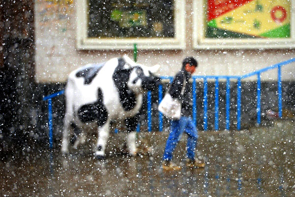 Майский снегопад на улицах Москвы.
