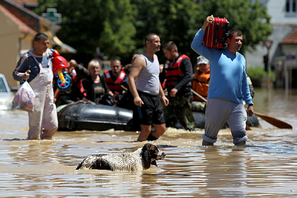 Брод на одной из улиц сербского города Обреновац.