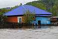 Алтай. Подтопленный дом. Проливные дожди привели к выходу из берегов рек Бия, Катунь, Ануй, Чарыш, Майма.