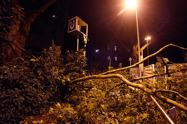 Поваленные деревья на одной из улиц Дортмунда.
