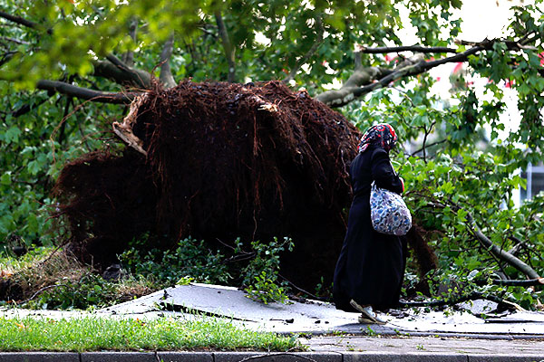 В Гельзенкирхене некоторые деревья вырвало с корнем.