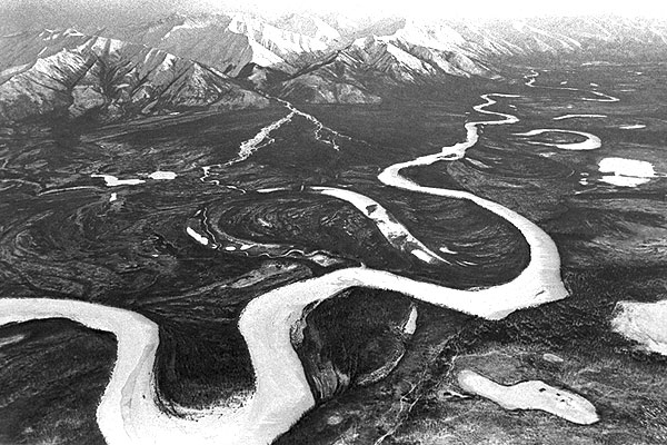 15 марта 1983 г.