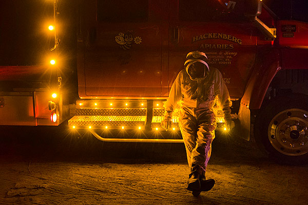 Светящийся фургон американского пасечника в штате Мэн.