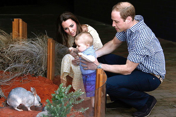 20 апреля 2014 г.