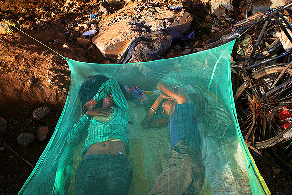 В антимоскитном коконе.