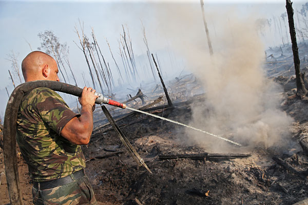 Тушение горящих торфяников в лесу у деревни Старое Мелково.