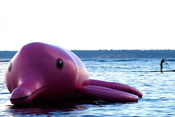 Надувная резиновая фигура амазонского речного дельфина в районе пляжа Понта Негра на Амазонке. Активисты организации Red Alert пытаются таким образом привлечь внимание общественности к проблеме исчезновения речных дельфинов.