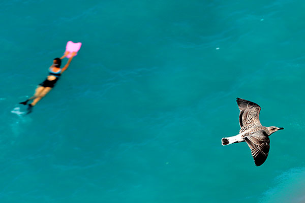 Плавать и летать в Ницце.