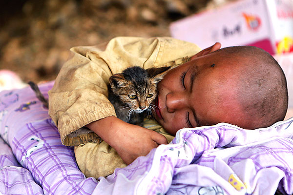 Мальчик с котенком во временном убежище.