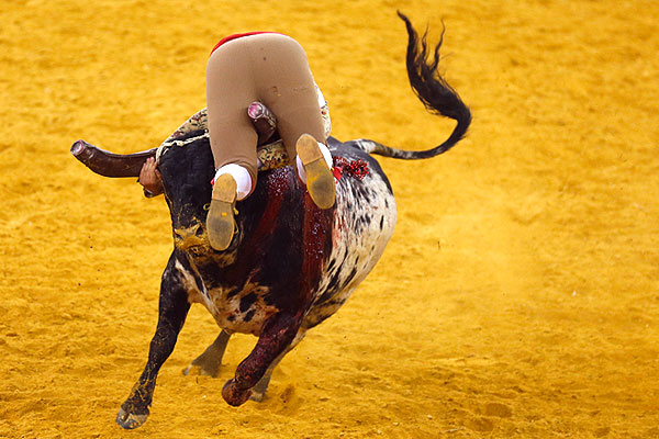Форкадос (португальские торедоры, выходящие на бой с быком голыми руками).