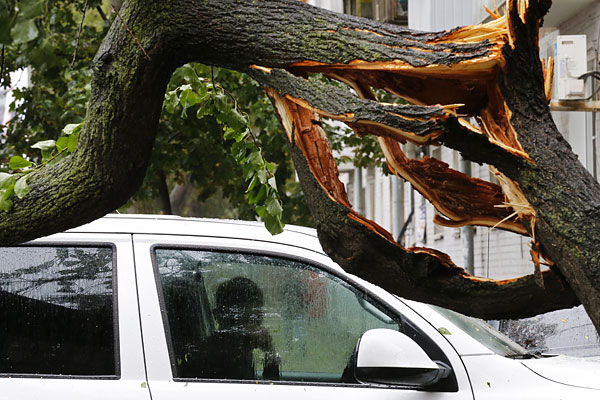 МЧС сообщает что в области бушует циклон, сопровождаемый ветром, скорость которого достигает 33 м/с