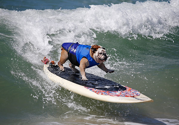 Серфер Тиллман участвует в соревнованиях в Хантингтон-Бич, Калифорния.