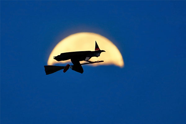 Карлсбад, США.