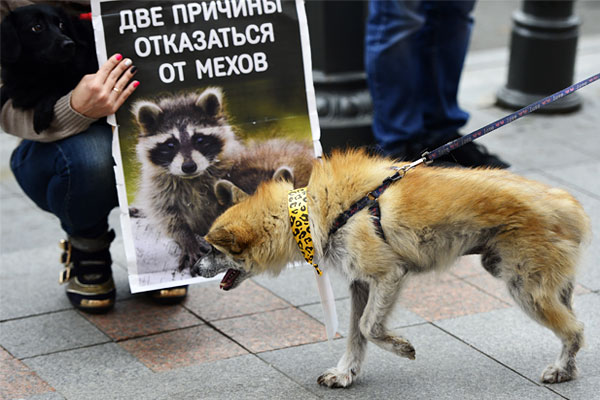 Владивосток.