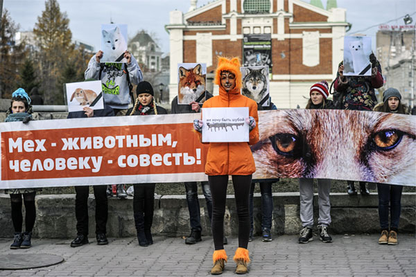 Новосибирск.