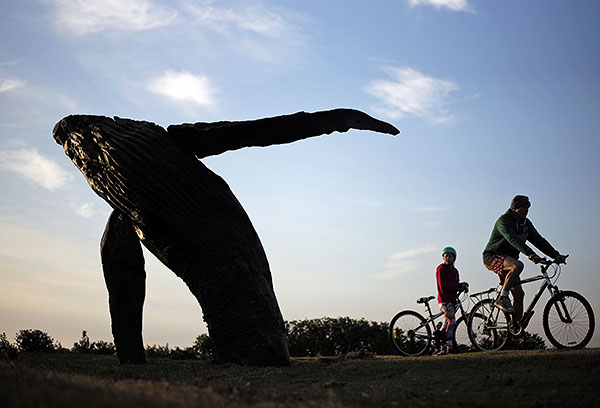 Выставка под открытыми небом растянулась на два километра между сиднейскими пляжами Бонди и Тамарама. Плата за посещение выставки не взимается. На фото скульптура кита авторства Майкла Грива.