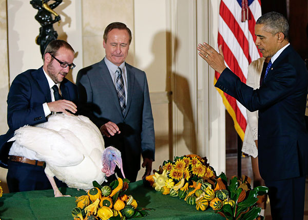 Президент США Барак Обама во время церемонии "помилования" главного индюка страны по кличке "Сыр" в Белом доме. Согласно традиции, каждый год американский лидер оставляет в живых индейку, которая должна была быть подана к его столу в честь Дня благодарения.
