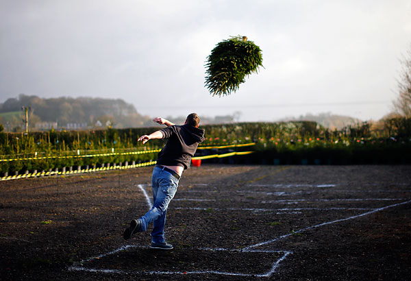 Чемпионат по метанию рождественских елок. Участники должны бросить как можно дальше деревья весом 10 килограмм и длиной 1,8 метра. Кил, Великобритания
