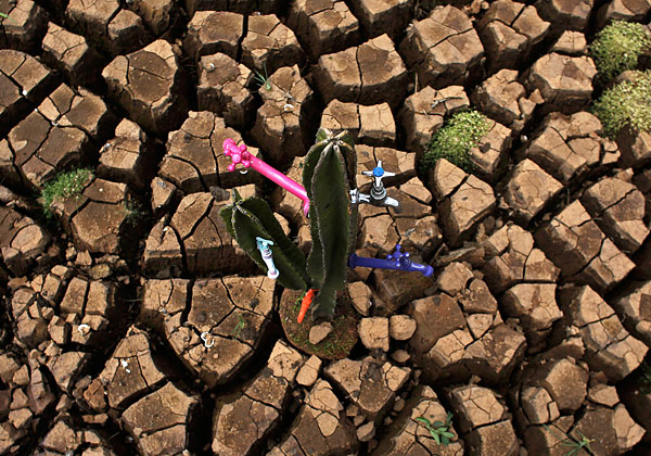 Инсталляция из живого кактуса, посвященная сильнейшей за последние 80 лет засухе в Бразилии. Водохранилище Кантарейра, обеспечивающее водой самый густонаселенный штат Бразилии Сан-Паулу, практически полностью лишилось воды.