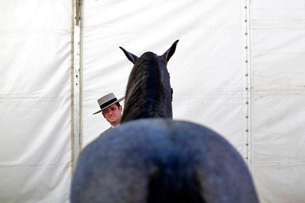 Всадник смотрит на своего коня перед международной выставкой андалузских лошадей в Севилье, Испания. Некоторые художники из похожих сцен делают перформансы.