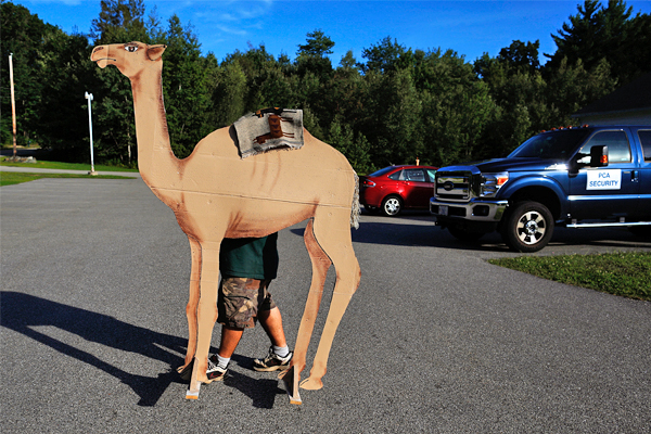 Мужчина несет картонного верблюда в штате Нью-Хэмпшир, США. Возможно, в Нью-Хэмпшире в этот день больше ничего не произошло. Вообще.