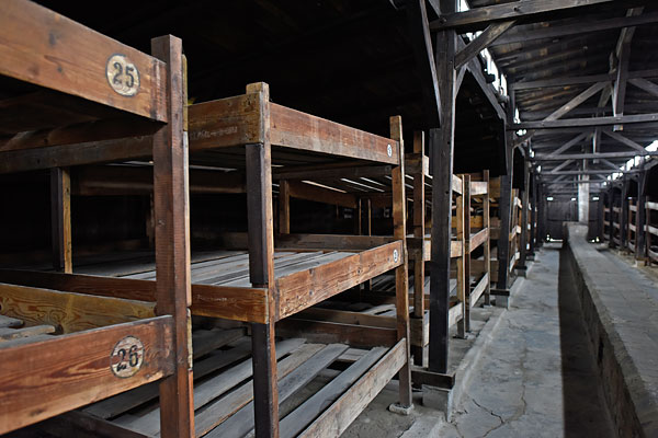 Деревянные нары в разрушенных казармах концентрационного лагеря Освенцим
