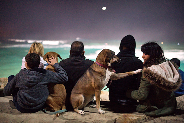 Зрители во время ночного соревнования по серфингу в израильском городе Ашдод