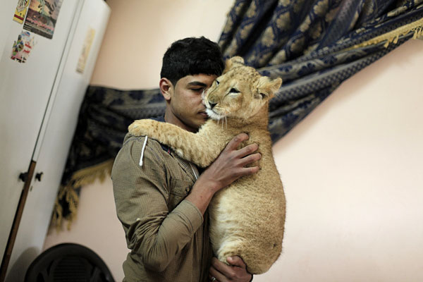 В лагере беженцев Рафах на юге сектора Газа