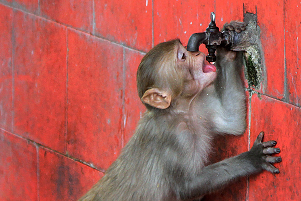 Температура воздуха поднялась до рекордных плюс 48, что на 7 градусов выше нормы