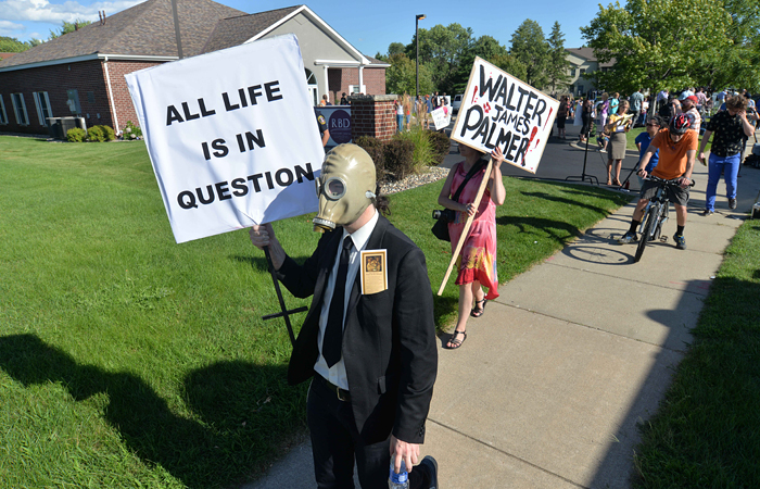 Уолтер Палмер, заплативший за охоту более 50 тысяч долларов, принес извинения всем людям, которых он огорчил убийством льва Сесила. По его словам, он не знал, какое животное он убивает.