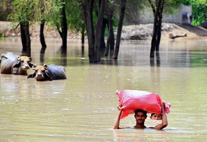 Последствия проливных дождей в Пакистане