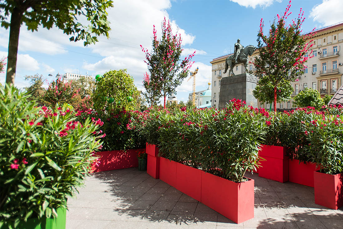 Цветочный лабиринт перед мэрией