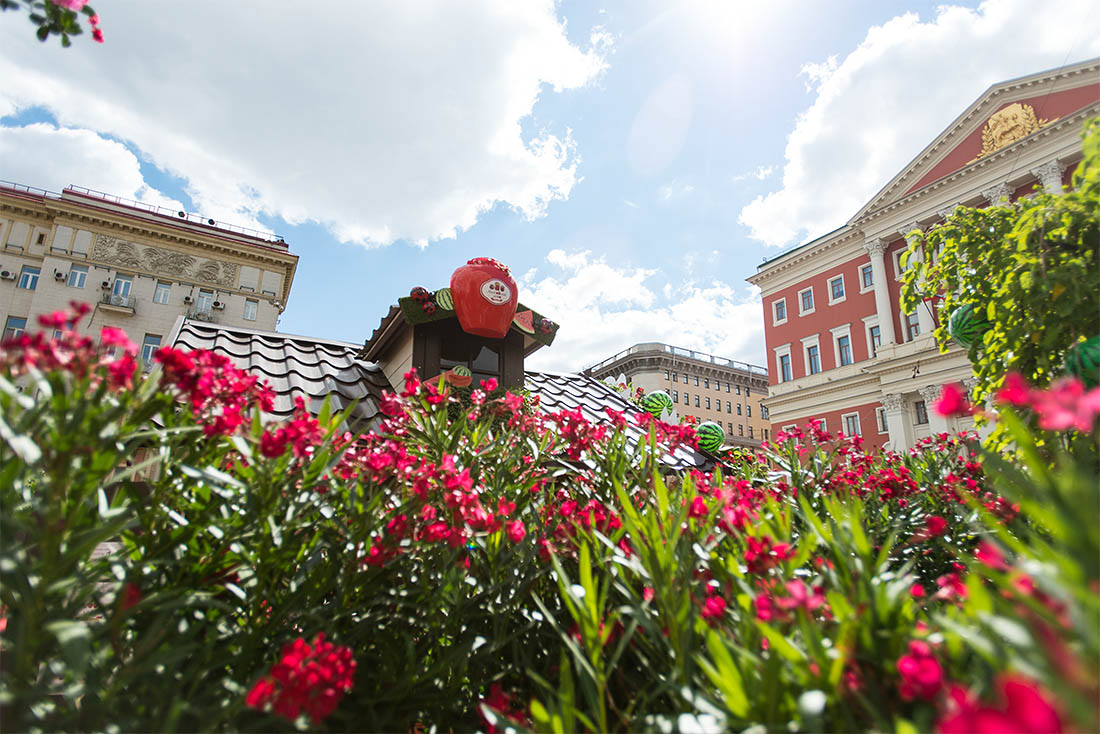 За неожиданными видами - сюда