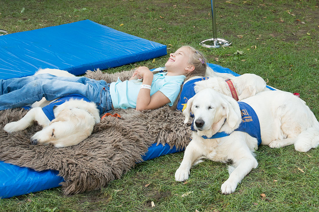 Немного канистерапии никогда не повредит. Во время контакта с животными дети получают столь необходимые тактильные ощущения и порцию любви от добрейших специально  обученных собак.