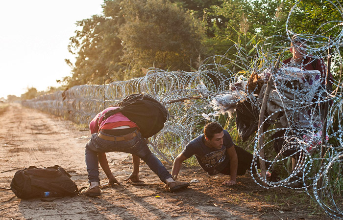 Нелегальные мигранты пробираются через колючую проволоку на границе между Венгрией и Сербией