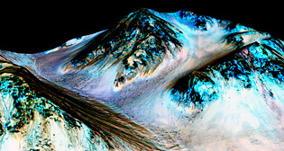 Лучшие фото недели