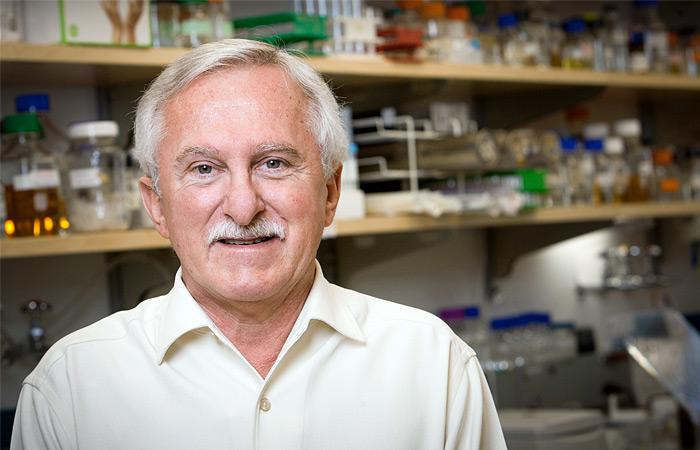 Пол Модрич нашел способ, с помощью которого клетки исправляют ошибки в ДНК в процессе деления. Этот механизм — репарация ошибочно спаренных оснований — актуален, когда в одной цепи из двухцепочечной ДНК пропущено основание, а в другой — нет. Он уменьшает частоту ошибок в ДНК примерно в тысячу раз.