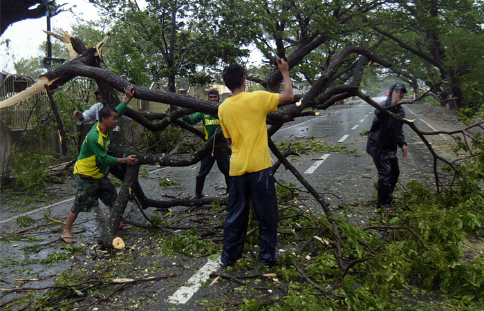 Сильным ветром были повалены деревья, повреждены крыши зданий