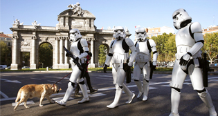 Фотохроника 30 октября