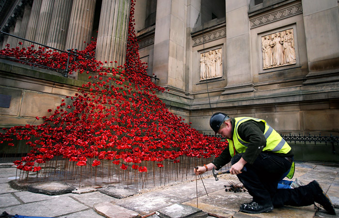У Георгиевского зала Ливерпуля рабочий готовит арт-инсталляцию из алых керамических маков, посвященную памяти погибших в Первую мировую войну солдат Великобритании и стран, входивших в то время в состав Британской империи