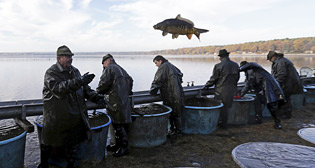 Лучшие фото недели