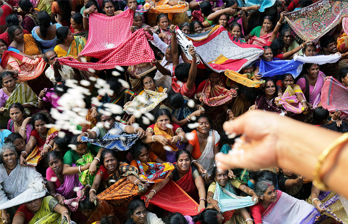 В Калькутте проходит праздник Аннакут. После молитв и поклонений божествам, верующие стремятся получить немного риса, освященного на вершине храма.