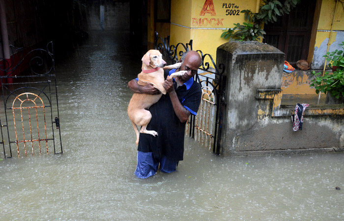 В штате Тамилнад на юге Индии уже пятый день не прекращаются проливные дожди, которые вызвали сильные наводнения и затопления. Более 50 человек стали жертвами стихийного бедствия.
