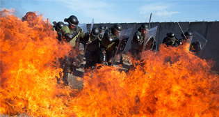 Фотохроника 20 ноября