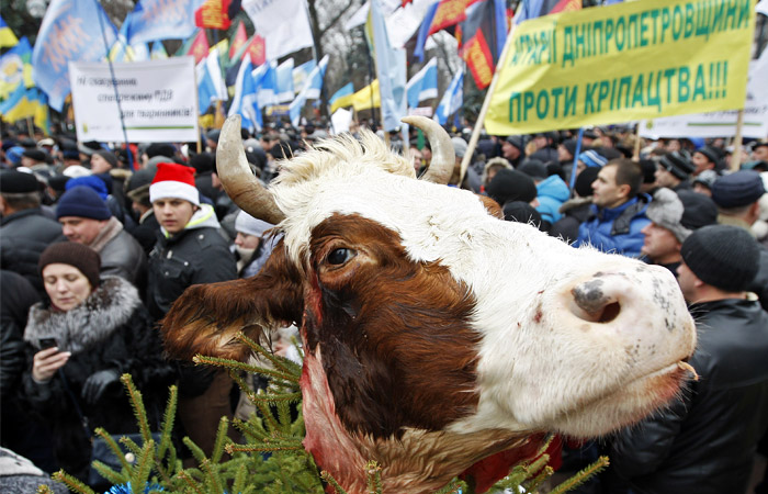 В Киеве перед зданием Верховной рады прошел протест украинских фермеров. Более 800 человек требовали отставки премьер-министра Арсения Яценюка и сохранения специального режима НДС для аграриев. Участники митинга установили у парламента елки, украшенные отрезанными головами коров, которые символизировали, по их мнению, угрозу разрухи в сельском хозяйстве.