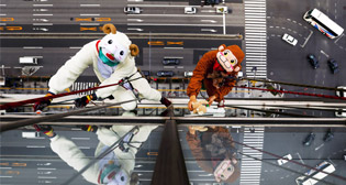 Фотохроника 21 декабря