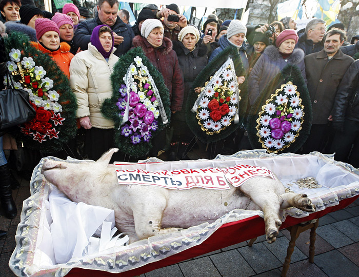 В Киеве прошла акция против налоговой реформы. Украинские фермеры принесли к зданию Верховной рады тушу свиньи в гробу с плакатом "Налоговая реформа - смерть для бизнеса".