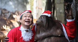 Предновогодние фото недели