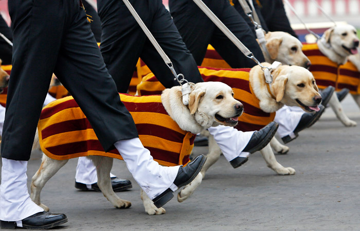 В индийском городе Нью-Дели состоялся парад в честь 68-й годовщины формирования национальной армии Индии