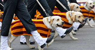 Фотохроника 15 января